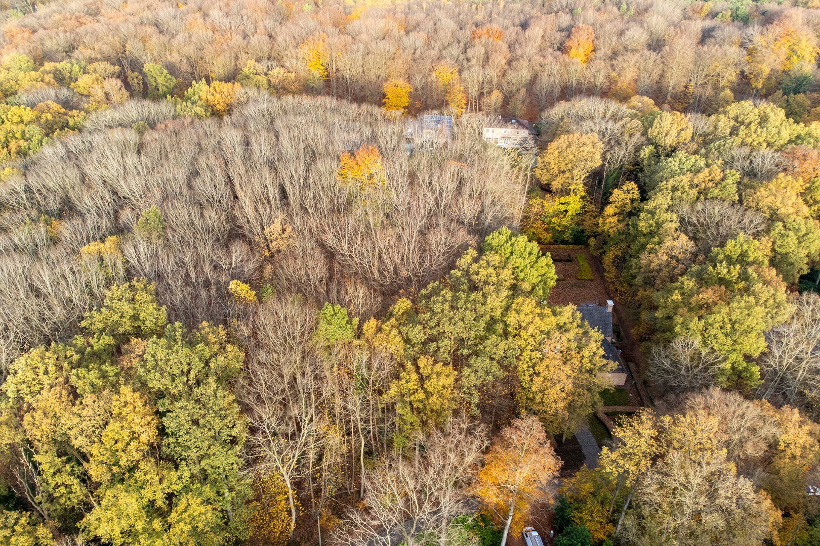 Prachtige bouwgrond van 22a 63ca te koop op een toplocatie in Hoog-Linden! - foto 4