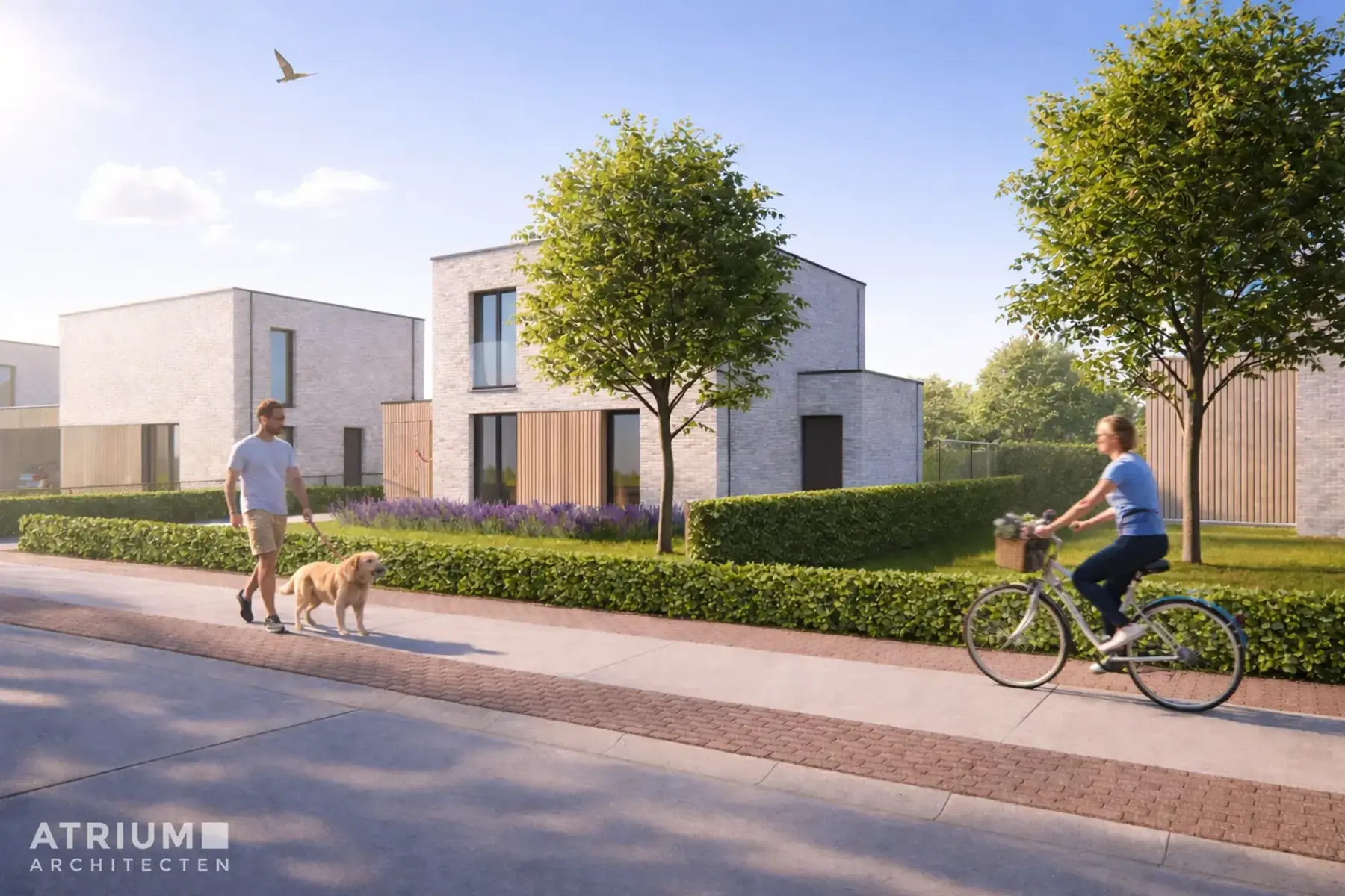 Land for sale in Maaseik