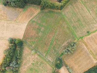 Land for sale in Putte