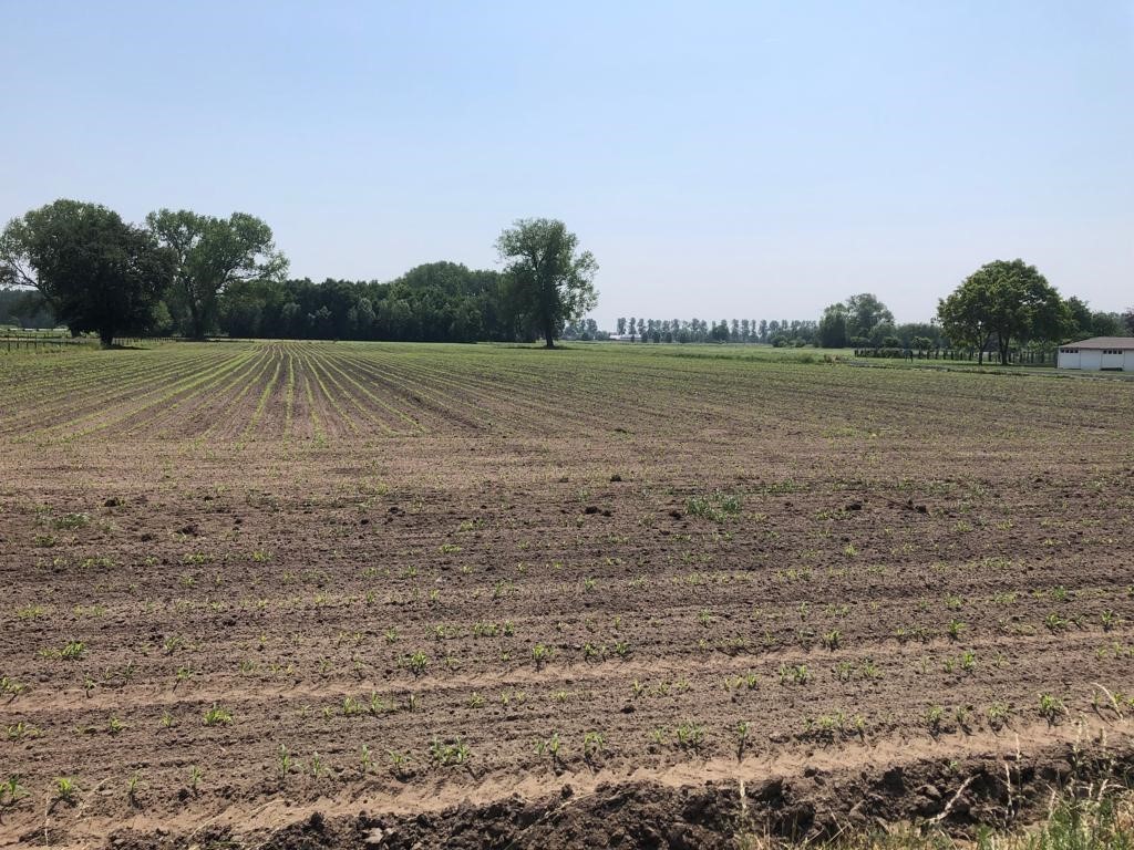 Nieuwpoortstraat 20 - Laatste lot - foto 3