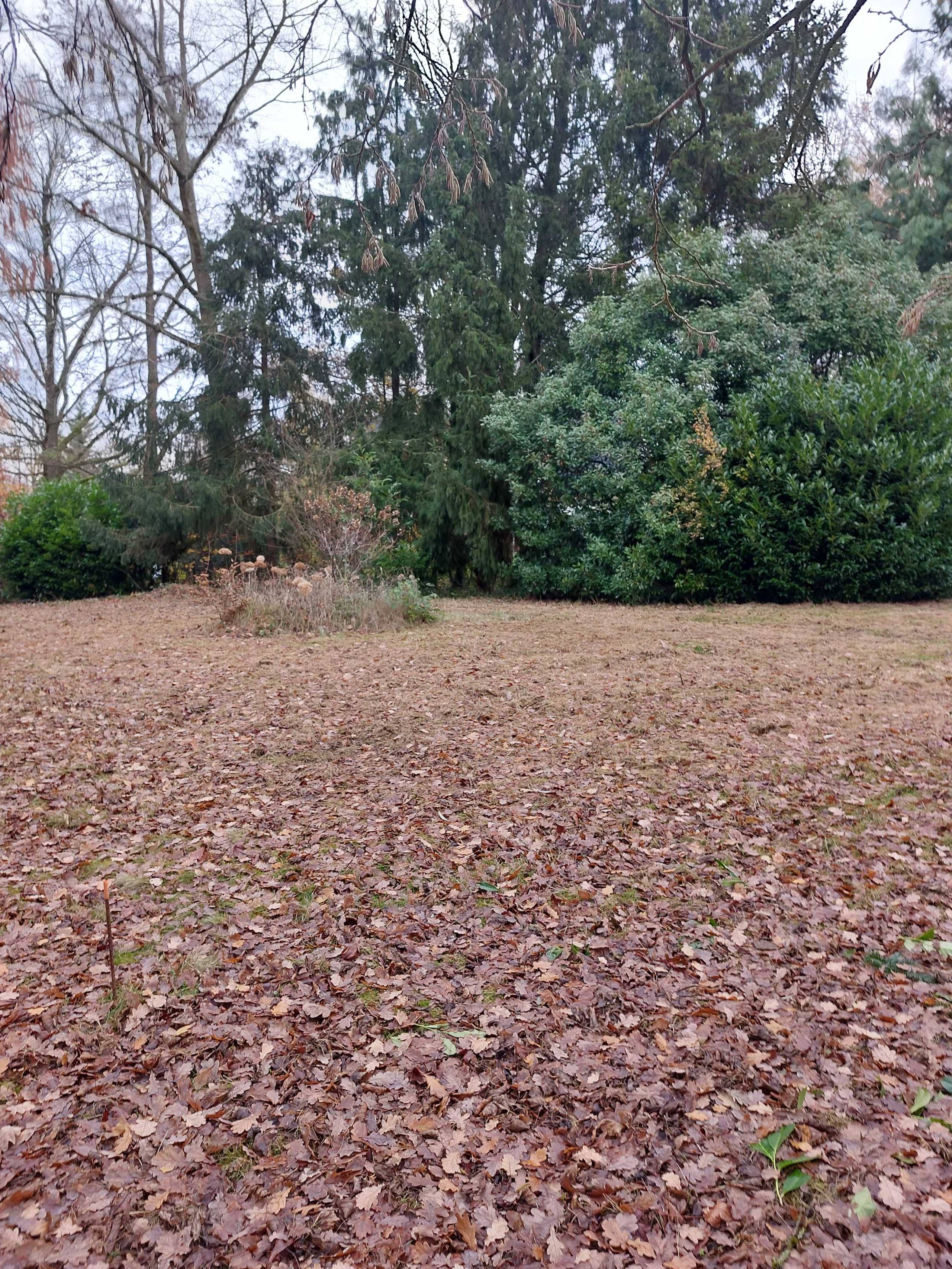 Grond te koop in Kessel-Lo - foto 4