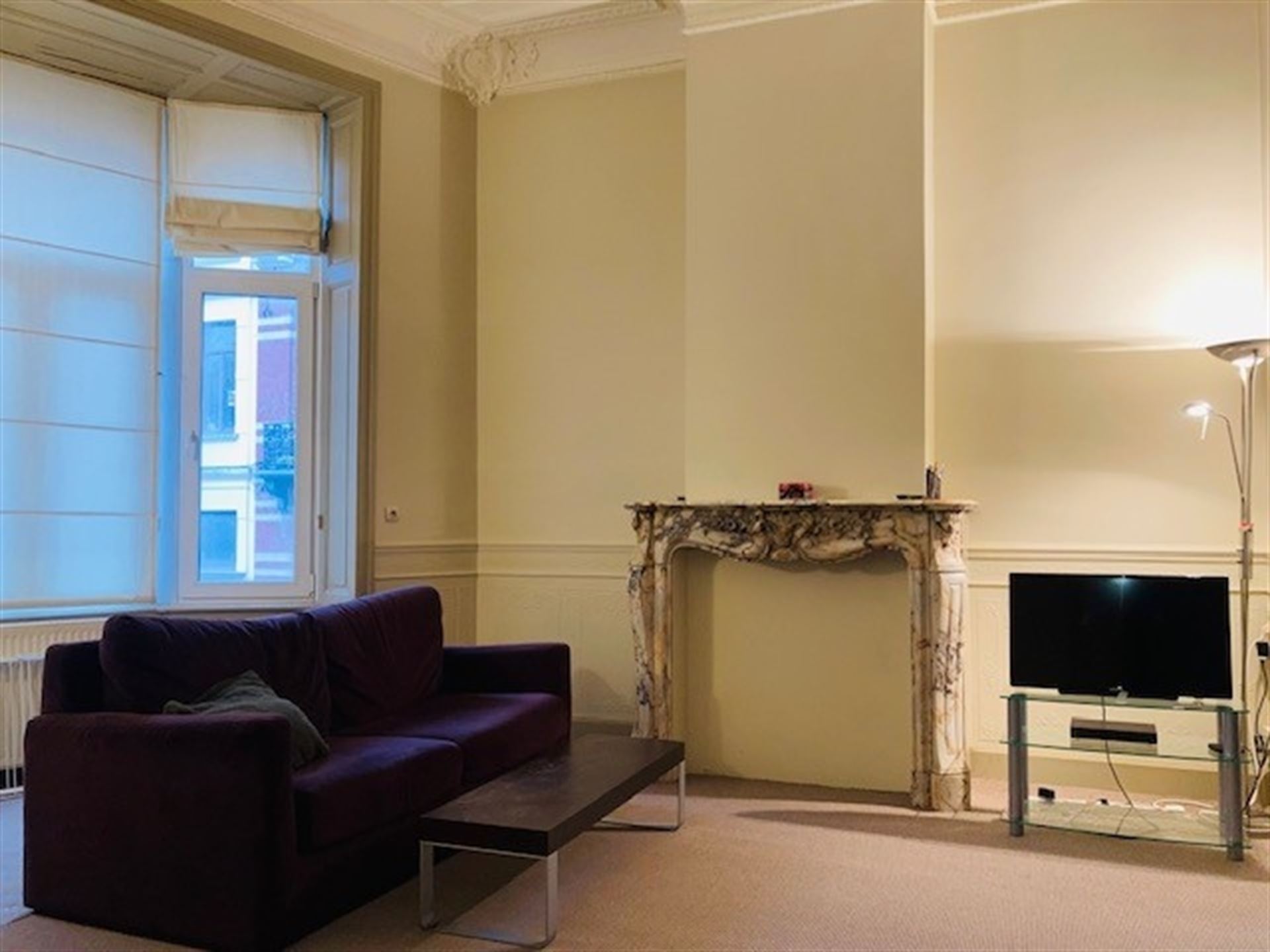 Bel appartement meublé 1CH - Quartier EU  - photo 3