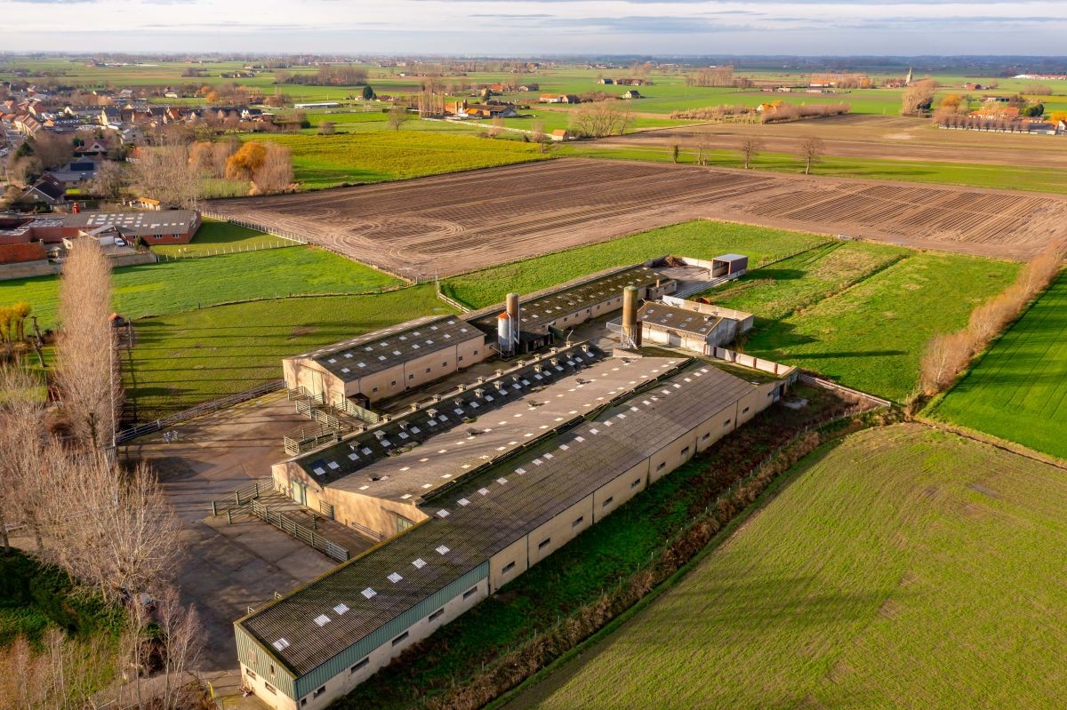 Vleesveebedrijf te koop op 3,29 ha te koop te Alveringem - foto 5