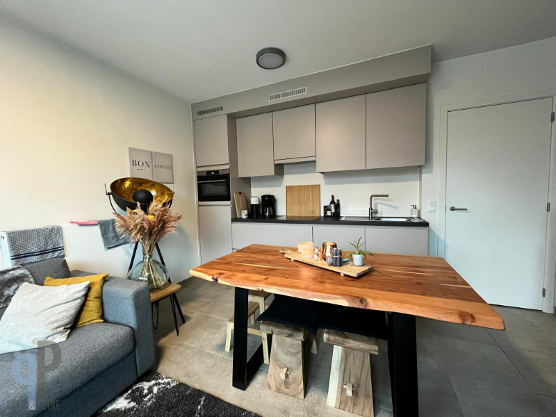 Gelijkvloers, energiezuinig, instapklare studio - foto 3