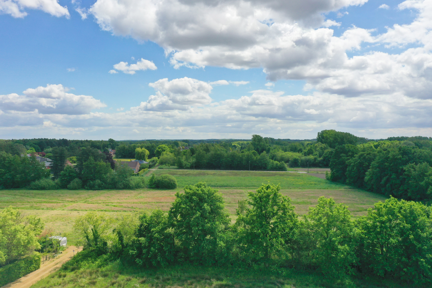 A+ bouwgrond OB - zicht op natuur - geen bouwverplichting - foto 3