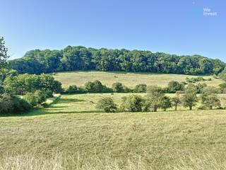 Grond te koop in Chimay