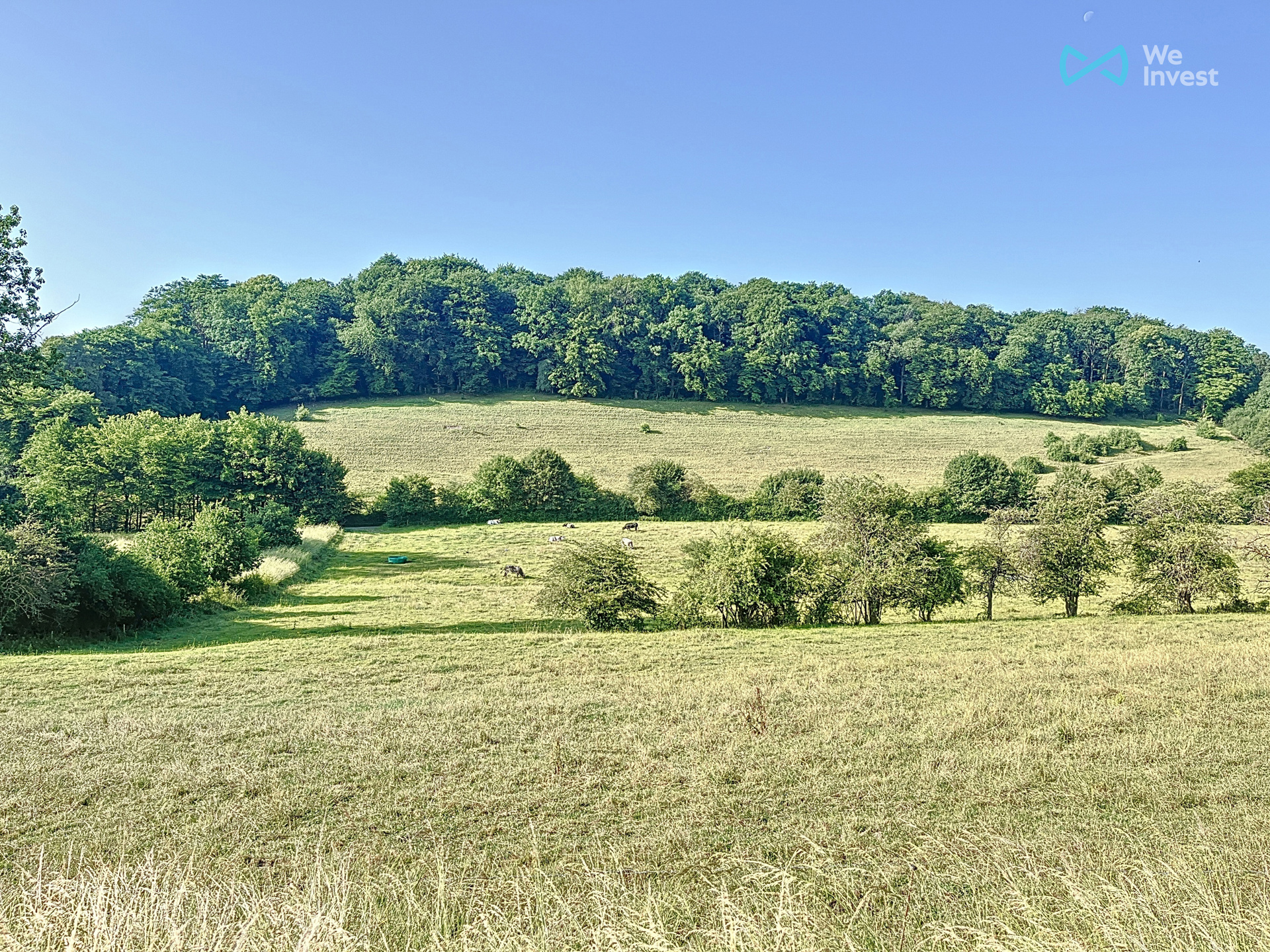 Grond te koop in Chimay - foto 3