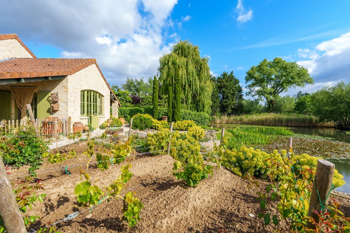 Alleenstaand huis te Meulebeke met prachtige tuin en vijver! - foto 4
