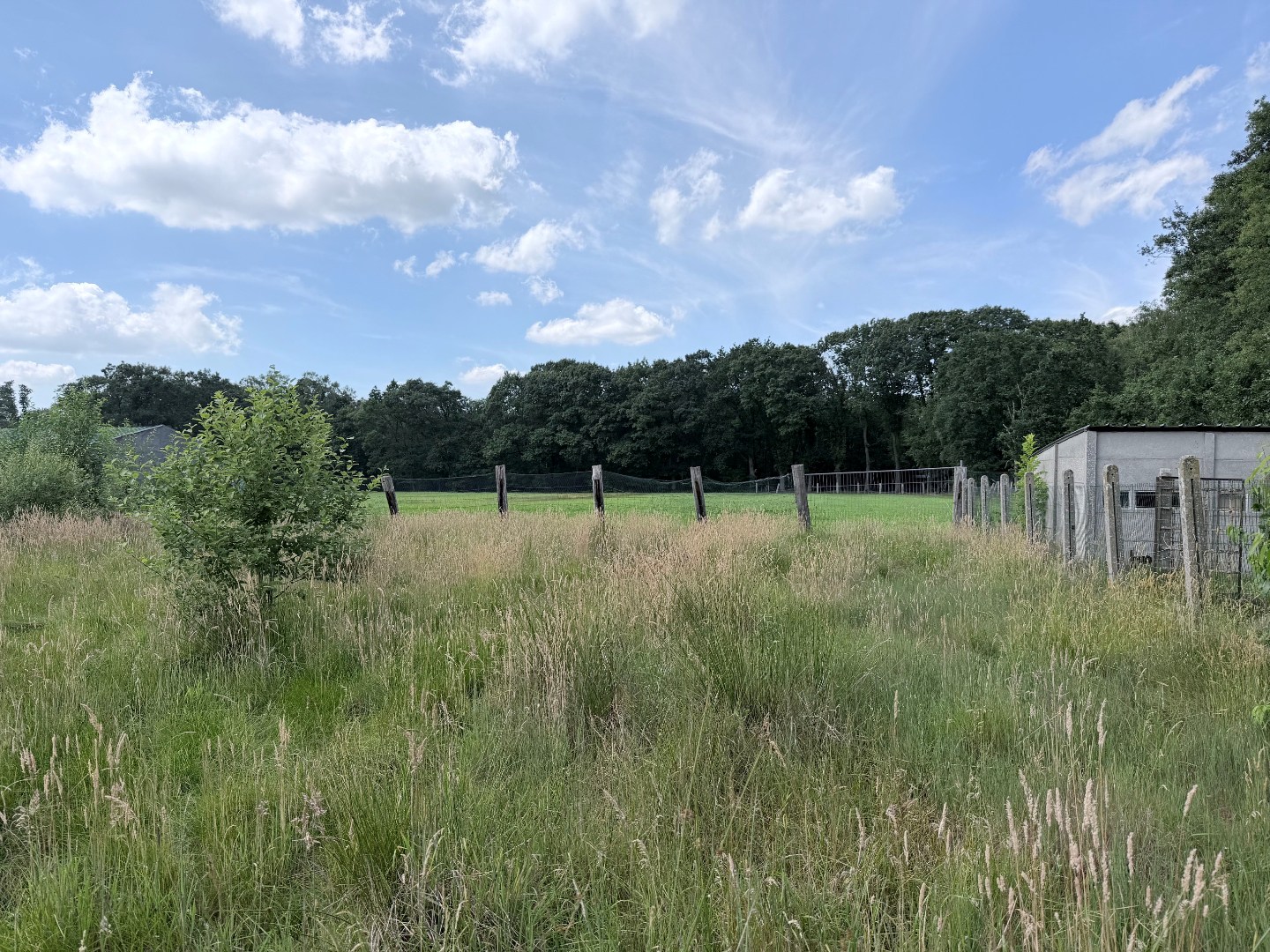 Bouwgrond voor HOB, 11a04ca, met zicht op groen - foto 5