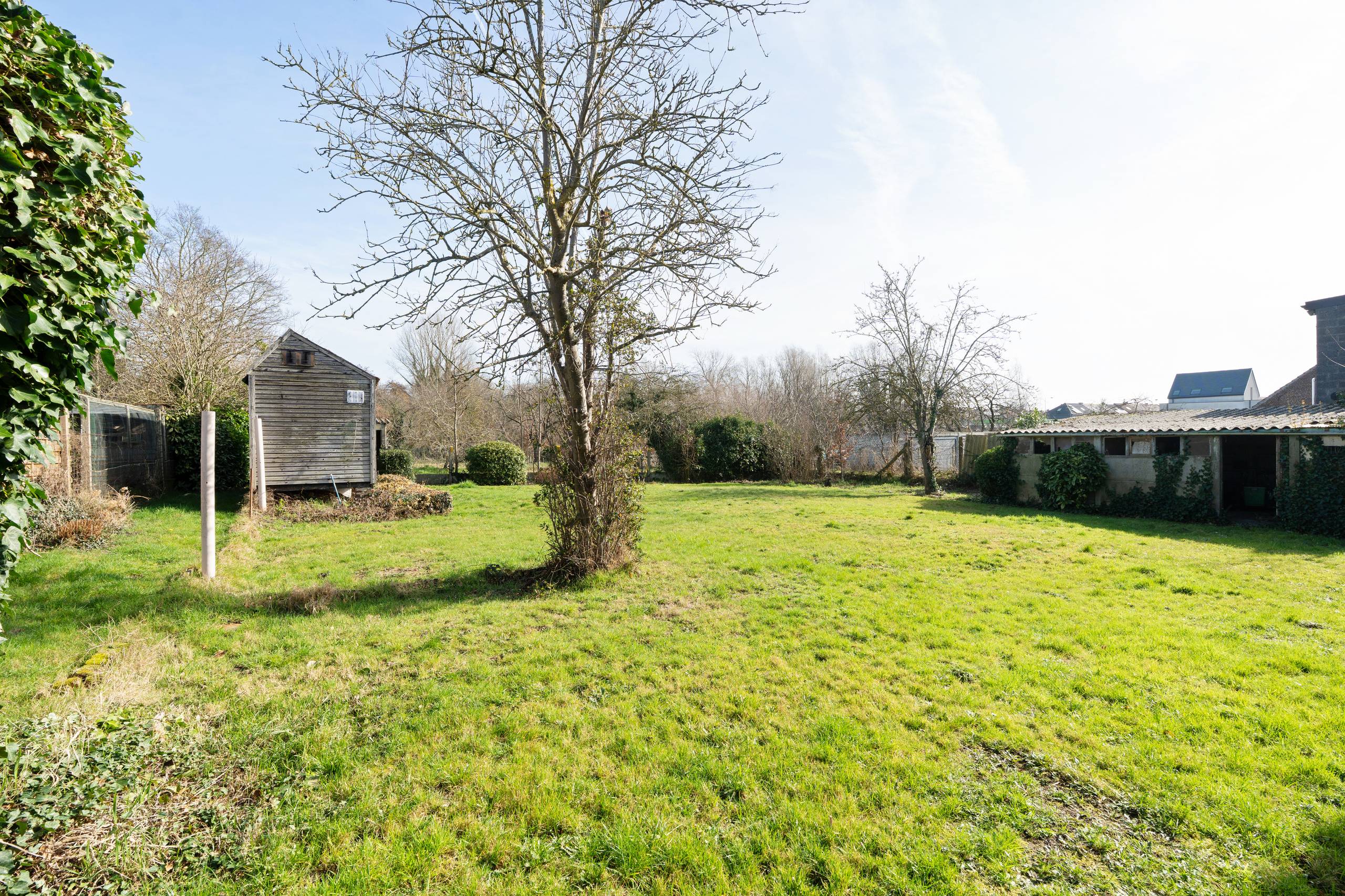 Hoeve / woning met loods en tuin - foto 3