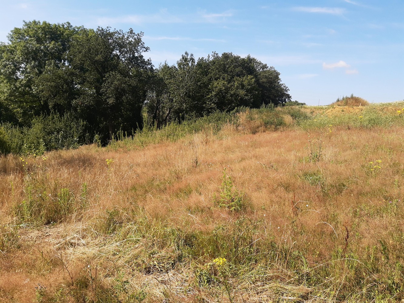 Grond te koop in Court-Saint-Etienne - foto 4