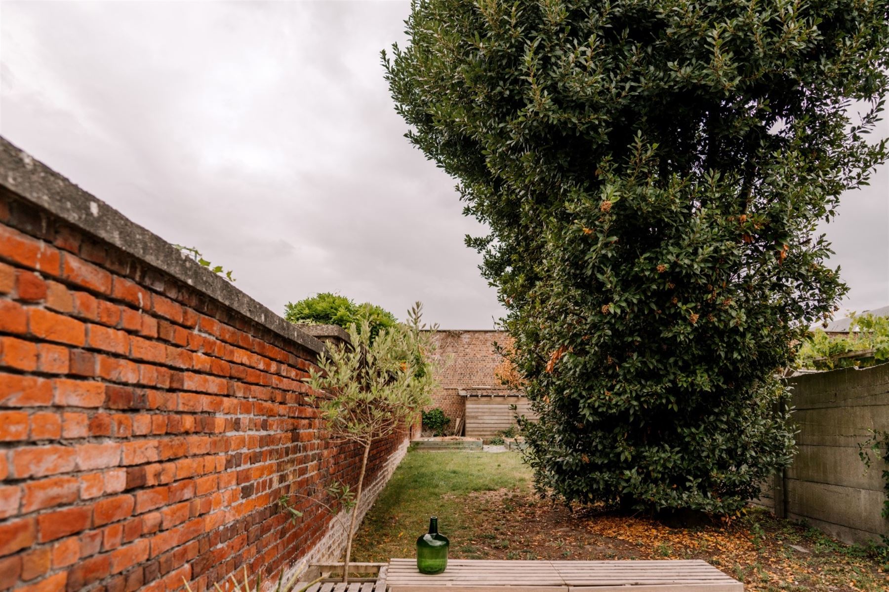 Apartment for rent in Ronse with 1 bedroom - photo 5