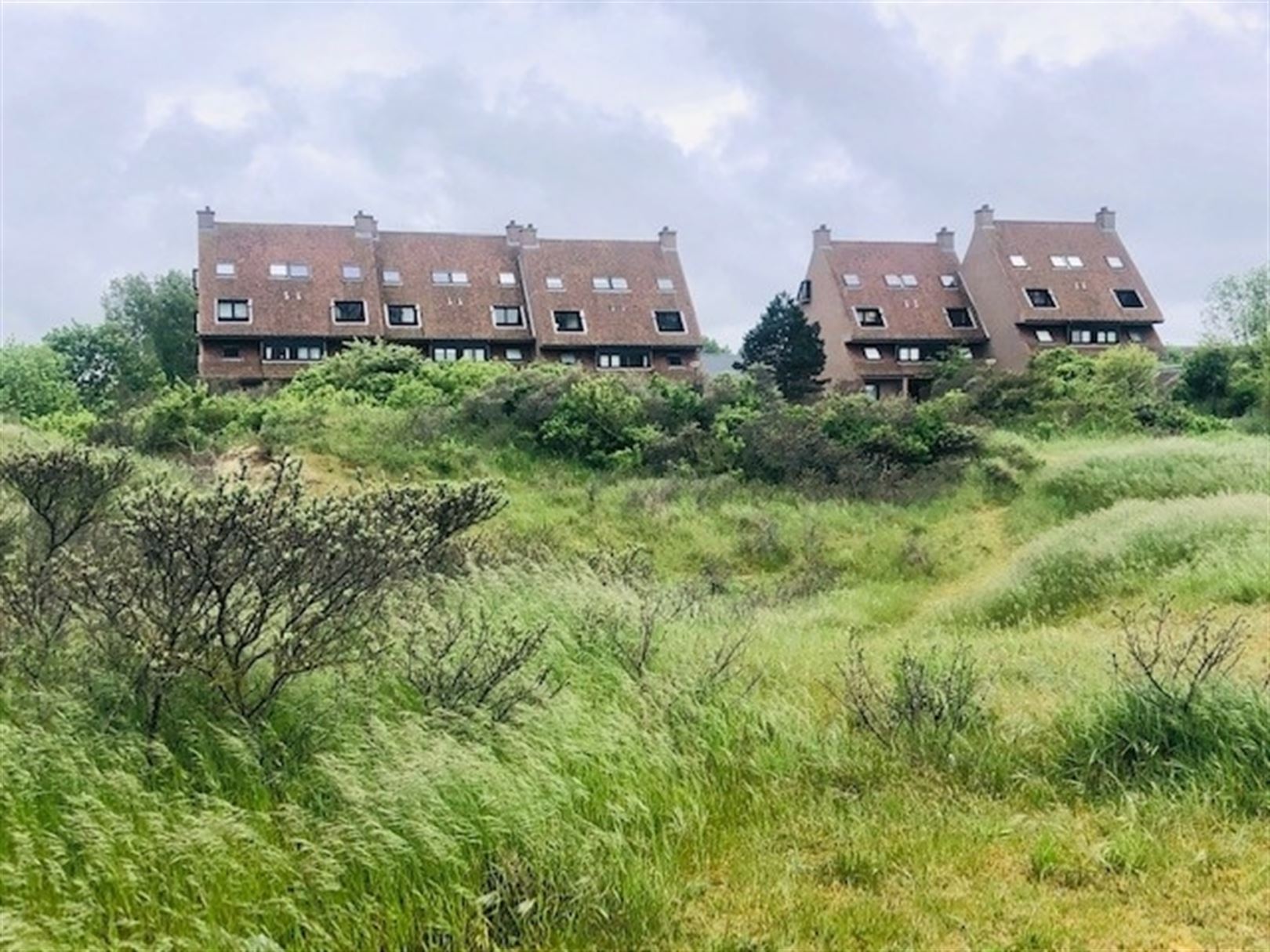 Zuidgericht appartement met groot terras en prachtig duinenzicht op toplocatie! - foto 4