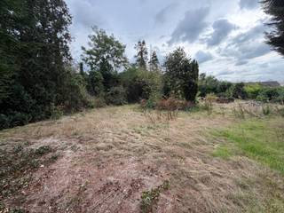 Op een aantrekkelijke locatie in Werchter bevindt zich deze ruime bouwgrond van maar liefst 12 are, geschikt voor het realiseren van een open bebouwing. Het perceel beschikt over een mooie straatbreedte van circa 22 meter en is gelegen binnen een goedgekeurde verkaveling. Een belangrijke troef is dat de bouwgrond wordt verkocht met een reeds goedgekeurde bouwvergunning, waardoor de toekomstige eigenaar heel wat tijd en voorbereiding bespaart. De goedgekeurde plannen voorzien een ruime woning met circa 250 m² bewoonbare oppervlakte. Een mooie opportuniteit voor wie op zoek is naar een ruim perceel en een comfortabele gezinswoning wil realiseren zonder eerst het volledige vergunningstraject te moeten doorlopen.