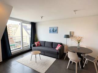 Instapklare studio met open leefruimte en zijdelings zeezichtDeze moderne, gemeubelde studio met open leefruimte en slaapbank geniet van zijdelings...