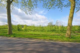 <p><span>Deze bouwgrond (OB) met een perceelsoppervlakte van 16are80 is zeer rustig gelegen. Met een straatbreedte van ±24m te midden van een residentiële, groene omgeving kunt u hier het huis van uw dromen omzetten in werkelijkheid. </span></p><p><span> </span></p><p><span>Bestemming: eengezinswoning.</span></p><p><span>Oriëntatie: zuidwest</span></p><p><span>Breedte perceel: ± 24m</span></p><p><span>Diepte perceel: ± 70m</span></p><p><span>Afstand perceelsgrens: 4m</span></p><p><span>Bouwdiepte gelijkvloers en verdieping: 20m</span></p><p><span>Bouwvoorschriften: te bekomen via mail.</span></p><p><span>Kelder is toegestaan</span></p><p><span> </span></p>
