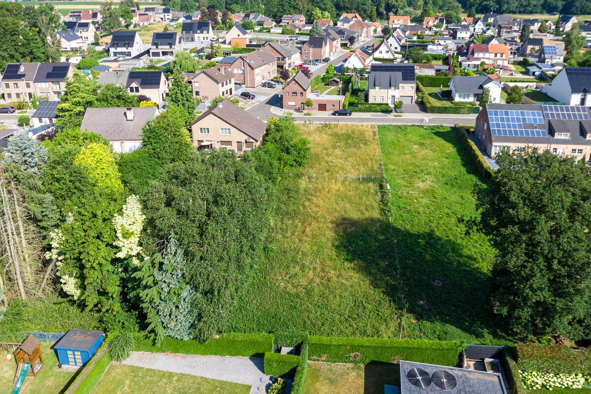 BOUWKAVEL VAN 1.463 m² OP DE WIJNGAARDSTRAAT TE LANAKEN! - foto 4