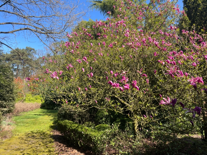 Land for sale in Brasschaat - photo 5