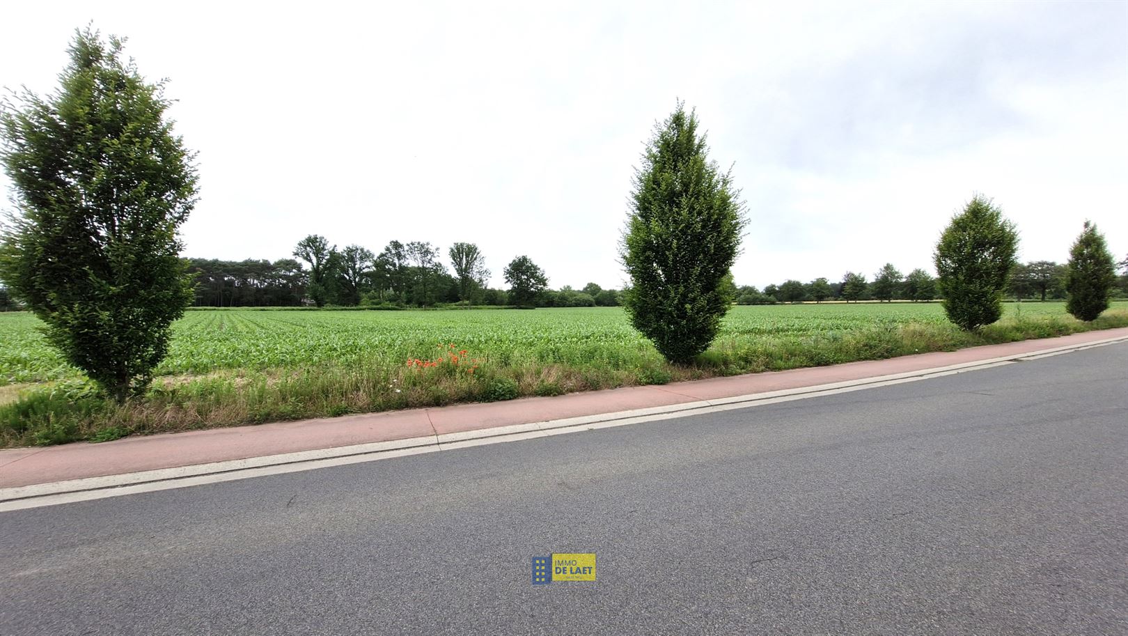 Bouwgrond - foto 4