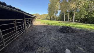 <p><span>WEIDE MET SCHUUR TE KOOP TE GERAARDSBERGEN</span></p><p><span> </span></p><p><span>Weide met een opp van 13617m². </span></p><p><span> </span></p><p><span>15 knotwilgen aanwezig + 9 populieren aanwezig</span></p><p><span> </span></p><p><span>Links en rechts toegang tot de weiden wat een vlotte bereikbaarheid geeft. </span></p><p><span> </span></p><p><span>Ruime schuur 80m² voorzien van stallingen aanwezig. </span></p><p><span> </span></p><p><span>Voor inlichtingen of bezoek gelieve op de advertentie te reageren, wij bellen u zelf op om een afspraak in te plannen. </span></p><p><span> </span></p><p><span> </span></p>