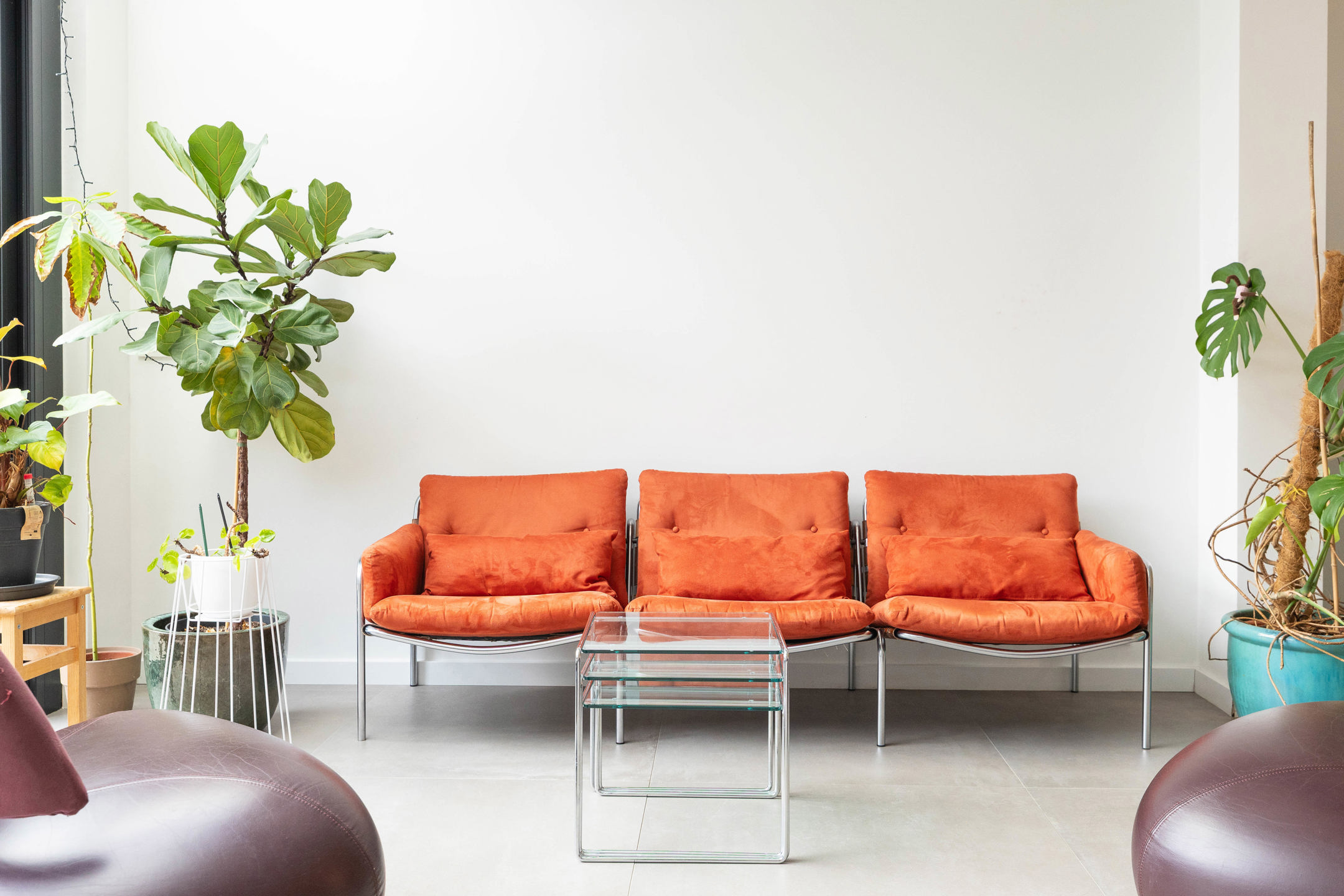 Energiezuinig wonen &amp; XXL-tuin, vlak bij de stad - foto 2