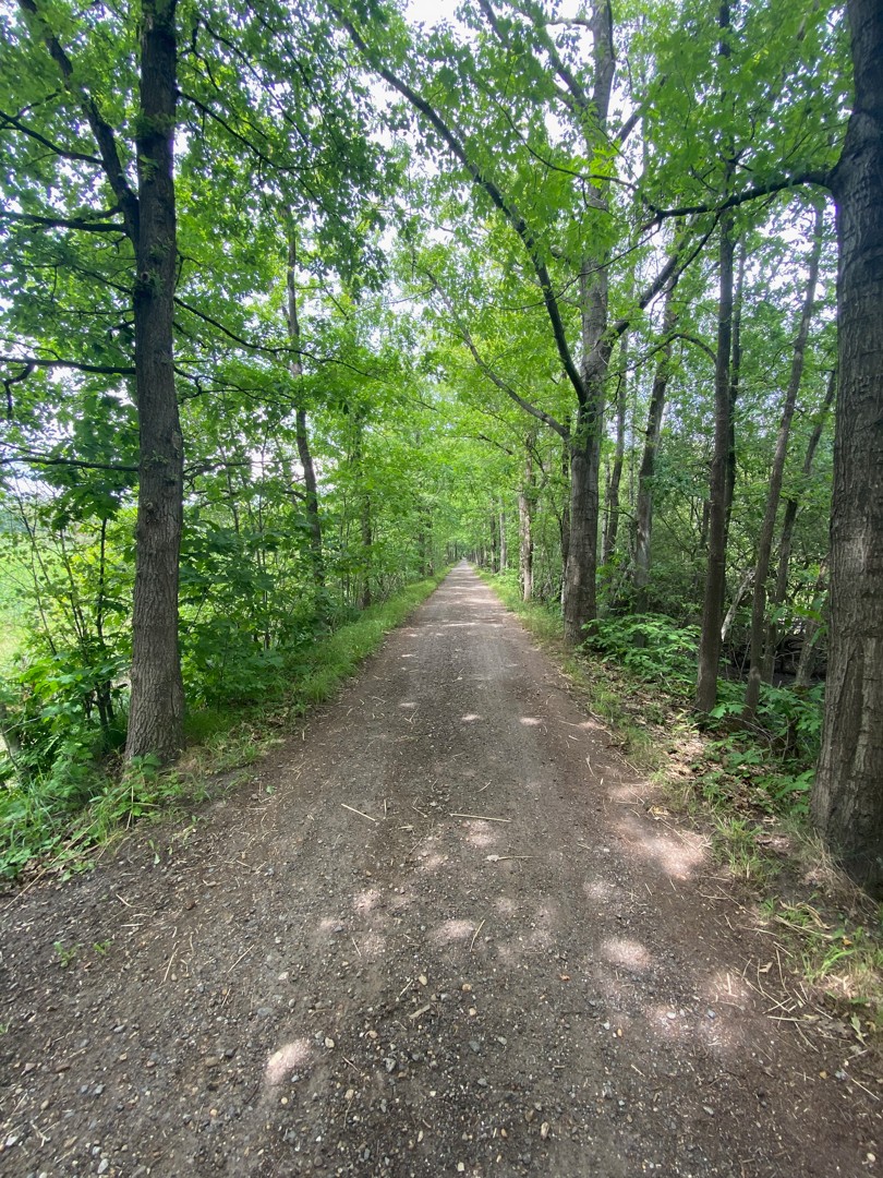 Recreatiegrond te koop met natuurlijke vijver in Westmeerbeek - foto 3