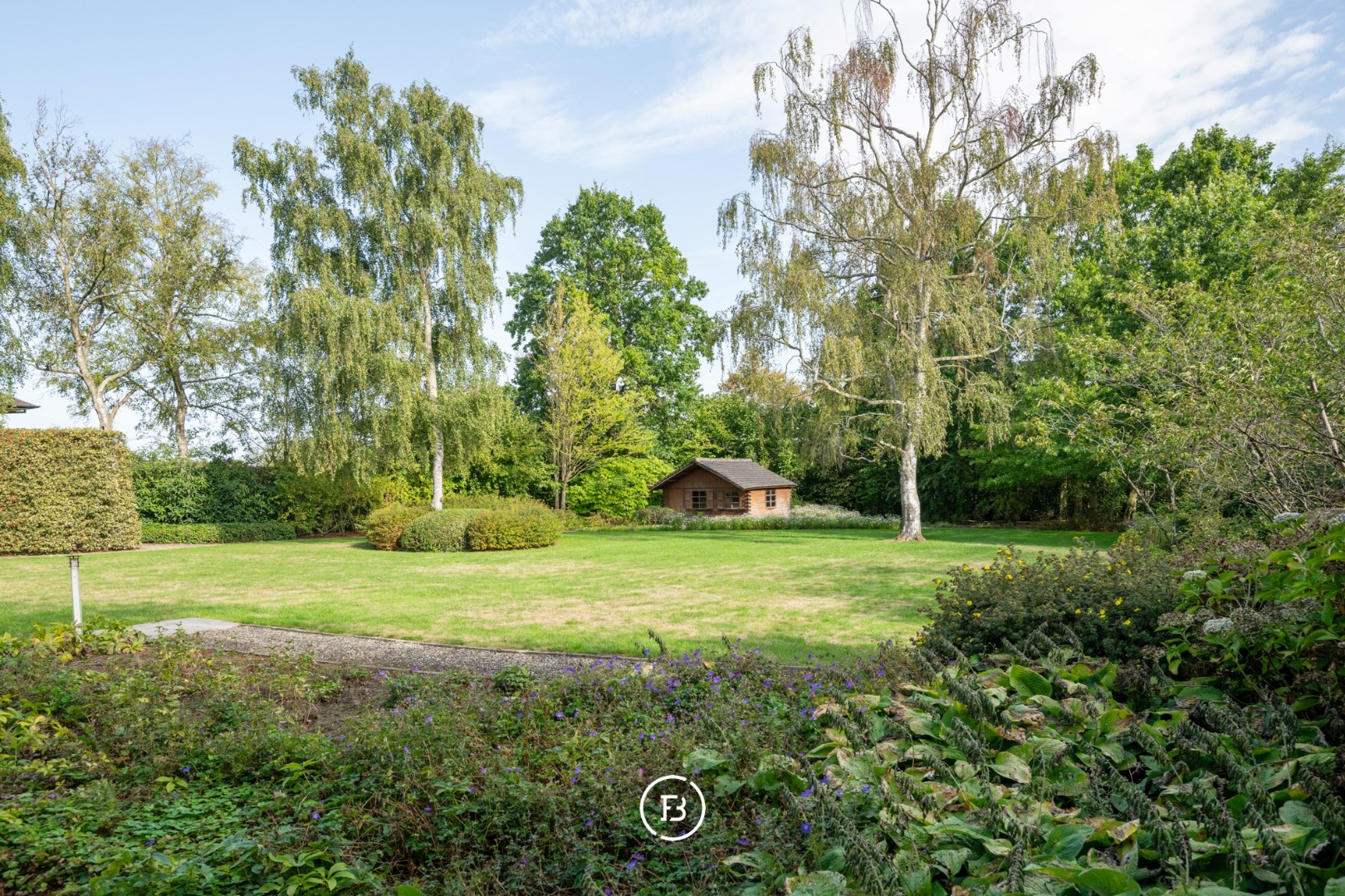 Bosmolens - foto 5