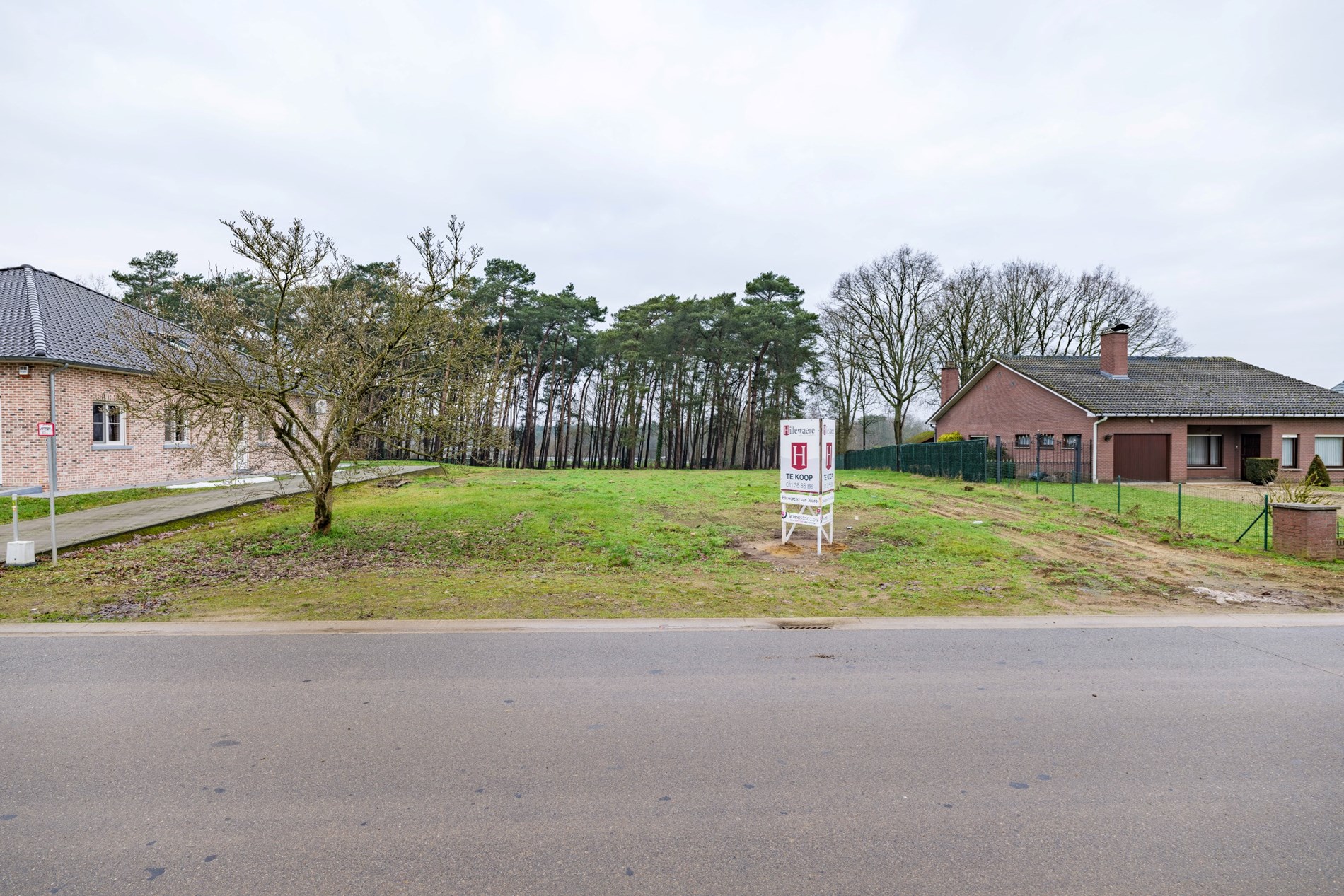 Top gelegen bouwgrond  met oppervlakte van 3003 m² te Lummen. - foto 4