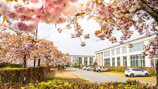 Magnifiques bureaux 853 m² à louer près de la Leuvensesteenweg à Zaventem. Les bureaux lumineux sont équipés de tout le confort moderne et sont...