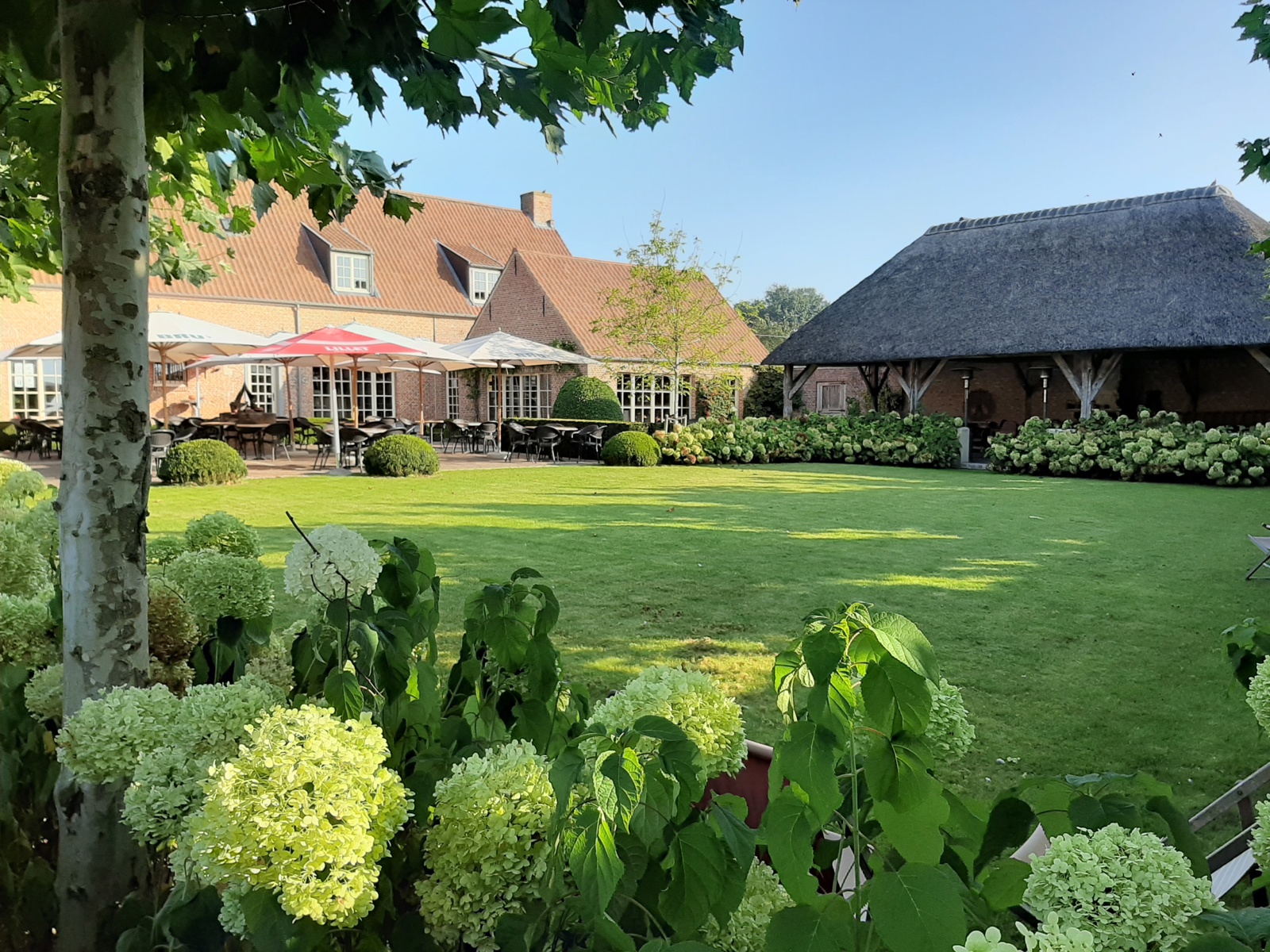 Commercial for sale in Wuustwezel - photo 1