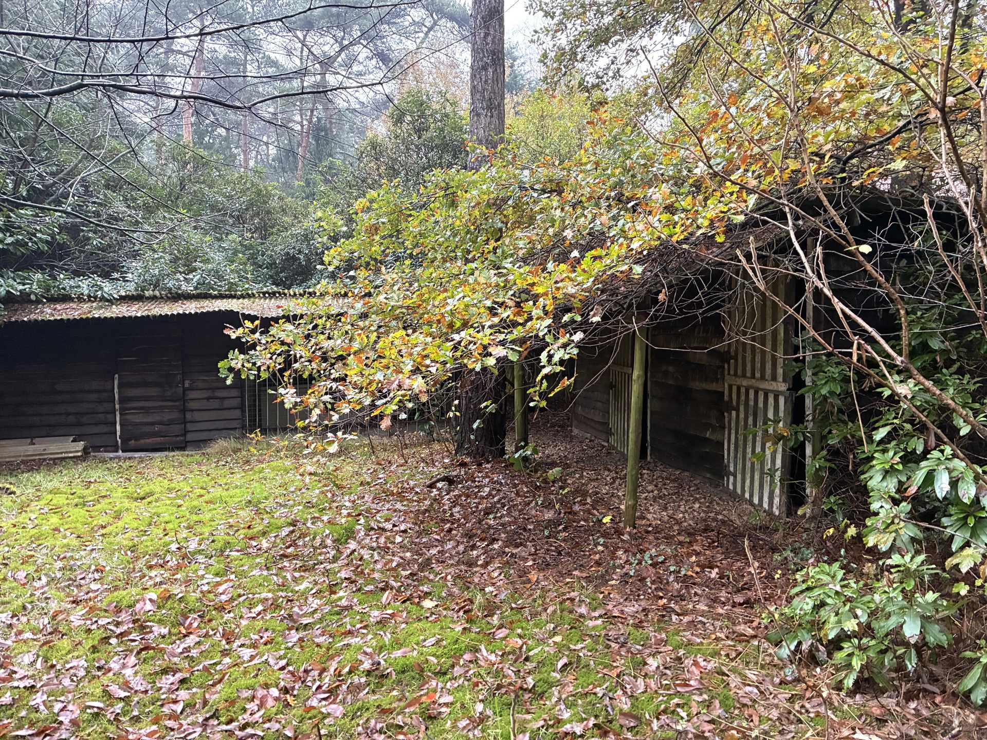 Grond te koop in Schilde - foto 5