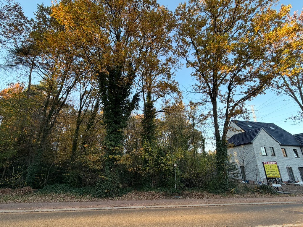 Genk, Reinpadstraat 185 (Lot 3A en 3B): uitstekend gelegen bouwgrond van 7a 23ca voor halfopen bebouwing. - foto 5