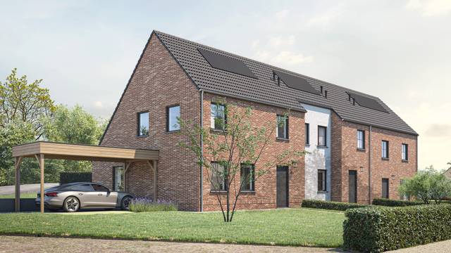 Project te koop in Nederhasselt