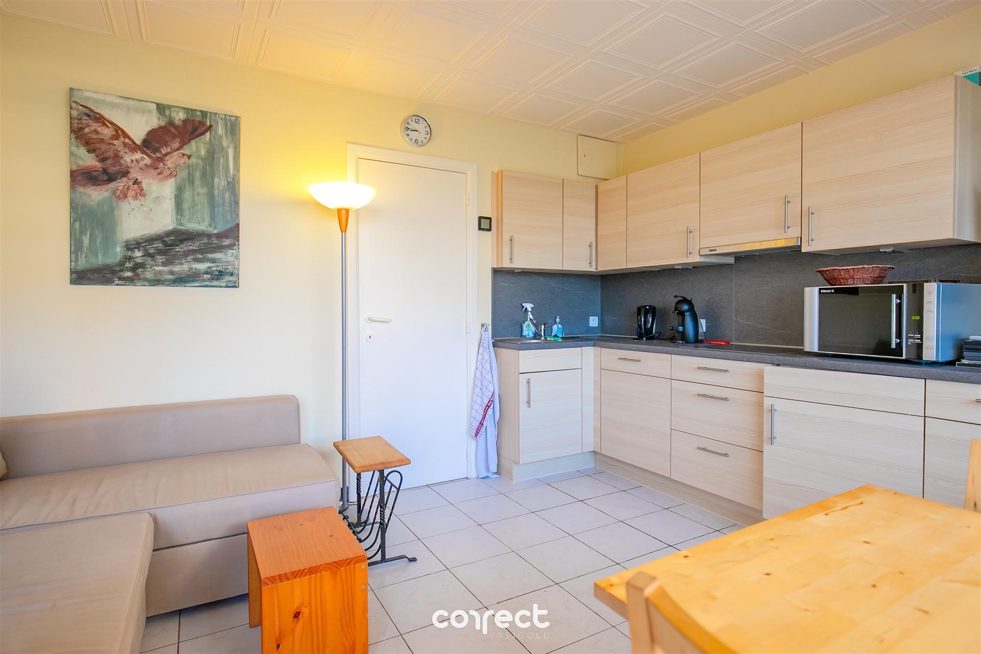 Goed onderhouden vakantieappartement met 1 slaapkamer.  - foto 3