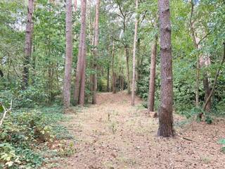 Bent u op zoek naar een ruim perceel in een groene en zeer rustige woonomgeving? Dit uitzonderlijk hoekperceel van maar liefst 4.000 m² biedt u...