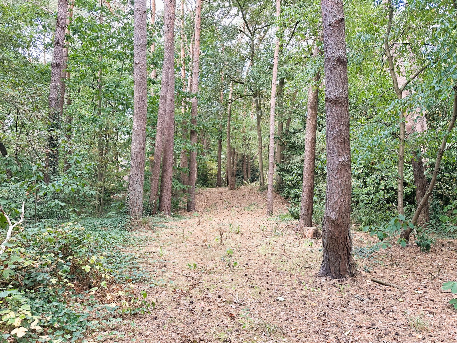 Terrain à vendre à Schilde - photo 2