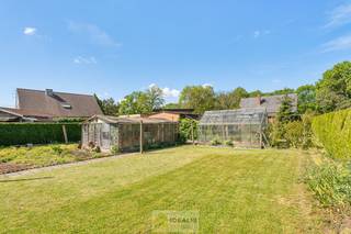 <strong>IDEALIS VASTGOED – Op te frissen eengezinswoning met 3 slaapkamers te Pelt (Lindel) mét bijhorend weiland. Deze woning omvat maar liefst +-148m² netto bewoonbare oppervlakte op een perceel van 10a 12ca (+ 20a 39ca weiland) met een ruime woonkamer, eetplaats, keuken, wasplaats, veranda/tuinkamer, badkamer, toilet, 3 slaapkamers en een zeer ruimte garage vlakbij de dorpskern van het Lindel, Pelt! Uiterst geschikt voor kandidaten op zoek naar een naar eigen wens te renoveren betaalbare woning.<br /><br />LIGGING: </strong><br />Deze woning is gelegen in een rustige woonstraat nabij het centrum van ‘t Lindel. De omgeving is rustig, groen én kindvriendelijk. De centrale ligging biedt een vlotte bereikbaarheid van scholen, supermarkten en andere commerciële gelegenheden.<br /><br /><strong>INDELING: </strong><br /><strong>Gelijkvloerse verdieping: </strong><br />– Inkom met trappenhal naar 1<sup>ste</sup> verdieping – slaapkamer 1 – woonkamer – eetplaats - keuken – wasplaats – badkamer met bad en lavabo– toilet – veranda –<br /><br /><strong>Bovenverdieping: </strong><br />– Overloop – slaapkamer 1 – slaapkamer 2 – bergzolder -<br /><br /><strong>Kelder:</strong><br /> – Droge kelder –<br /><br /><strong>Tuin: </strong><br />– Ruim perceel van 10a 12ca met zeer ruime garage –<br /><br /><strong>BIJZONDERHEDEN:</strong><br />- Zeer rustige woonbuurt<br />- Sfeervol en naar wens te renoveren woonhuis<br />- Aangename perceel (inclusief weiland aan overzijde straat 30a 51ca)<br />- Renovatieverplichting<br />- Stookolietank buiten werking gesteld<br />- Ramen vernieuwd in kunststof<br /><br /><strong>Stedenbouwkundige Inlichtingen:</strong><br />Bouwvergunning – Woongebied - Geen dagvaarding – Voorkooprecht – Geen verkavelingsvergunning<br /><br /><strong>E-peil: </strong> 1.226kWh/m²jaar <strong>met certificaatnummer:</strong> 20260508-0003864950-RES-1<br /><br /><strong>O-peil:</strong> niet overstromingsgevoelig gebied<br />P-score: A<br />G-score: A<br /><br /><strong>Benieuwd naar deze woning? Ons IDEALIS Team geeft U met plezier en steeds vrijblijvend de nodige informatie via e-mail, ter plaatse of op ons kantoor te Pelt.<br />Wenst U advies omtrent uw eigen woning? Graag plannen wij vrijblijvend met U een afspraak in om onze expertise met U te delen, steeds tot Uw dienst!!<br />Neem contact op met IDEALIS VASTGOED op 011/515 565 of mail naar info@idealisvastgoed.be!</strong><br /> 