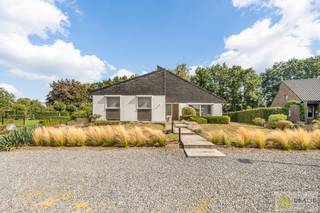 <strong>IDEALIS VASTGOED – !! INVESTERING – BEWONER WENST TE BLIJVEN WONEN !! UITERST GOED ONDERHOUDEN GEZINSWONING OP EEN PRACHTIG, GROEN EN RUSTIG PERCEEL VAN MAAR LIEFST 11A MET LICHTRIJKE WOONKAMER, 3 KNAPPE SLAAPKAMERS, BADKAMER, AFGEWERKTE ZOLDERVERDIEPING EN ONDERGRONDSE GARAGE - De woning heeft een oppervlakte maar liefst +- 130m² met ruime woonkamer, uitgeruste keuken, 3 slaapkamers, badkamer én inpandige/ondergrondse garage. De woning is rustig gelegen op een perceel met een opp. van 11a. </strong><br /><br /><strong>LIGGING: </strong><br />Deze woning is vlakbij de stadskern van Hamont, doch in een residentiële buurt en biedt veel privacy! Ook is de woning gelegen op enkele stappen van de Nederlandse grens.<br /><br /><strong>INDELING:<br />Gelijkvloerse verdieping: </strong><br />- Royale ontvangsthal met gastentoilet – ruime woonkamer/eetkamer (met gezellige gashaard, en mooi zicht op de tuin) – uitgeruste keuken (voorzien van elektrisch vuur, dampkap, dubbele spoelbak , vaatwasser, koelkast en veel opberg- en werkruimte) – wasruimte/achterinkom -<br /><br /><strong>Eerste verdieping/ split level:</strong><br />- Vide – slaapkamer 1 – slaapkamer 2 (momenteel ingericht en gebruikt als dressing) – slaapkamer 3 - badkamer (voorzien van ligbad, douche, dubbele lavabo) –<br /><br /><strong>Tweede verdieping:</strong><br />- Volledig afgewerkte zolderverdieping (mogelijkheid tot slaapkamer) -<br /><br /><strong>GARAGE/KELDER</strong><br />- Garage/kelder (55m²) -<br /><br /><strong>Tuin: </strong><br />– prachtig en volledig aangelegde tuin in een uitstekende staat van onderhoud, uitgevend op een weide – heerlijk overdekt terras –<br /><br /><strong>BIJZONDERHEDEN:</strong><br />- DE WONING ZAL NIET BESCHIKBAAR ZIJN VOOR EIGEN GEBRUIK > Huidige eigenaar wenst de woning blijven te bewonen aan een correcte huurprijs<br />- Zeer goed onderhouden woning!<br />- Rustige locatie<br />- Ruim perceel<br />- Rolluiken<br />- Verwarmd op aardgas<br />- Terras voor- en achter vernieuwd (natuursteen)<br />- Vloer op gelijkvloerse vernieuwd<br /><br /><strong>Stedenbouwkundige Inlichtingen:</strong><br />Bouwvergunning - Woongebied - Geen dagvaarding - Geen voorkooprecht – Verkavelingsvoorschriften<br /><br /><strong>EPC: 355kWh/m²jaar met certificaatnummer: 20250813-0003664089-RES-1<br /><br />Asbestattest in aanvraag</strong><br /><br /><strong>O-peil: </strong>niet overstromingsgevoelig<br />P-score: A<br />G-score: A<br /><br /><strong>Benieuwd naar deze woning? Ons IDEALIS Team geeft U met plezier en steeds vrijblijvend de nodige informatie via e-mail , ter plaatse of op ons te Pelt.<br />Wenst U advies omtrent uw eigen woning? Graag plannen wij vrijblijvend met U een afspraak in om onze expertise met U te delen, steeds tot Uw dienst!!<br />Neem contact op met IDEALIS VASTGOED op 011/515 565 of mail naar info@idealisvastgoed.be!</strong><br />