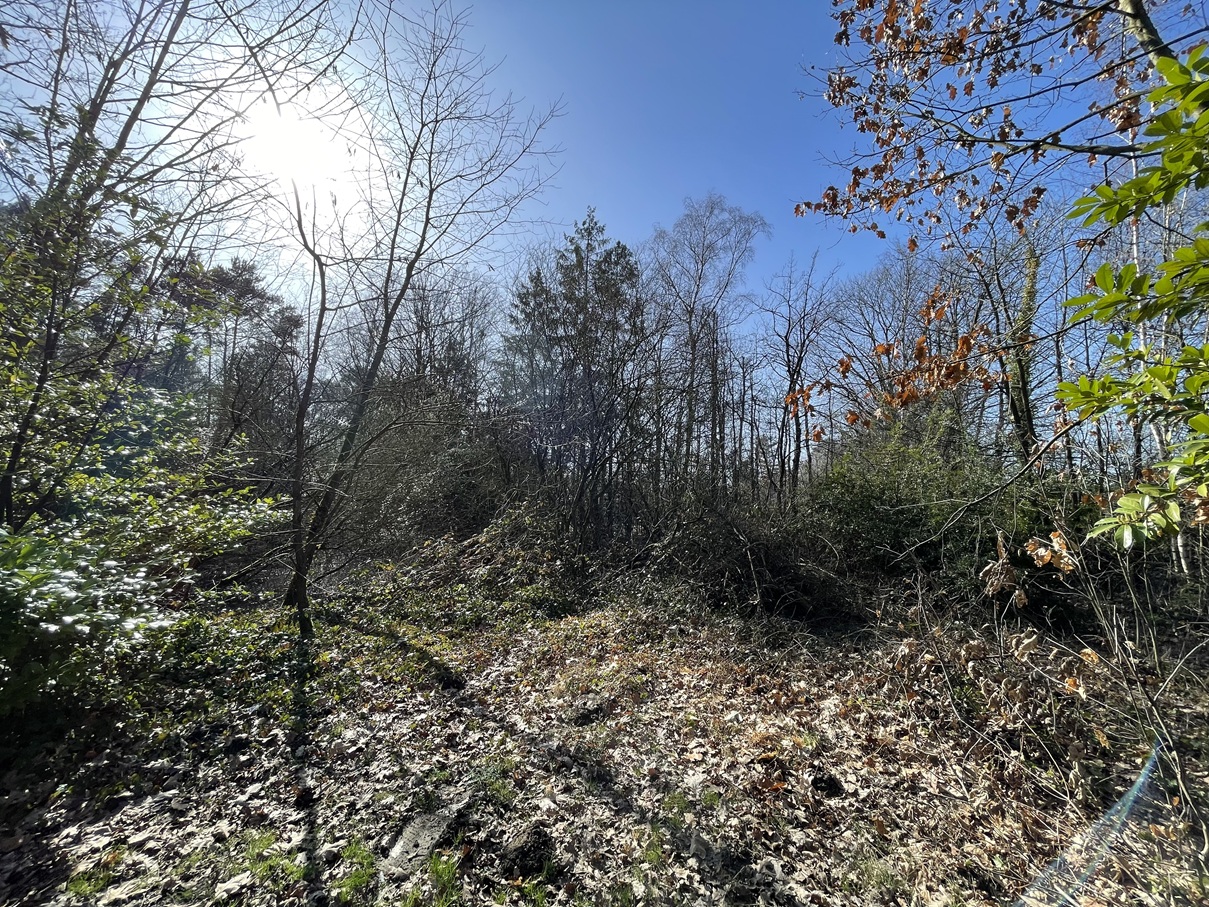 Terrain à vendre à Westmeerbeek - photo 3