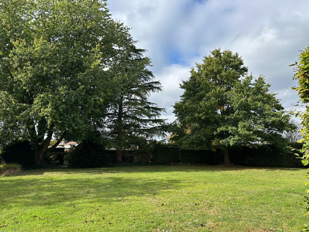 Prachtige ZW gerichte bouwgrond van 941 m² met volwassen tuin. - foto 5