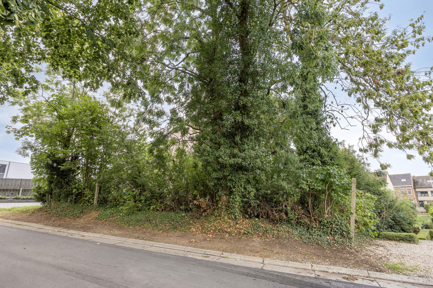 Prachtig gelegen bouwgrond 6a 63ca op wandelend afstand van het Hallerbos. - foto 4