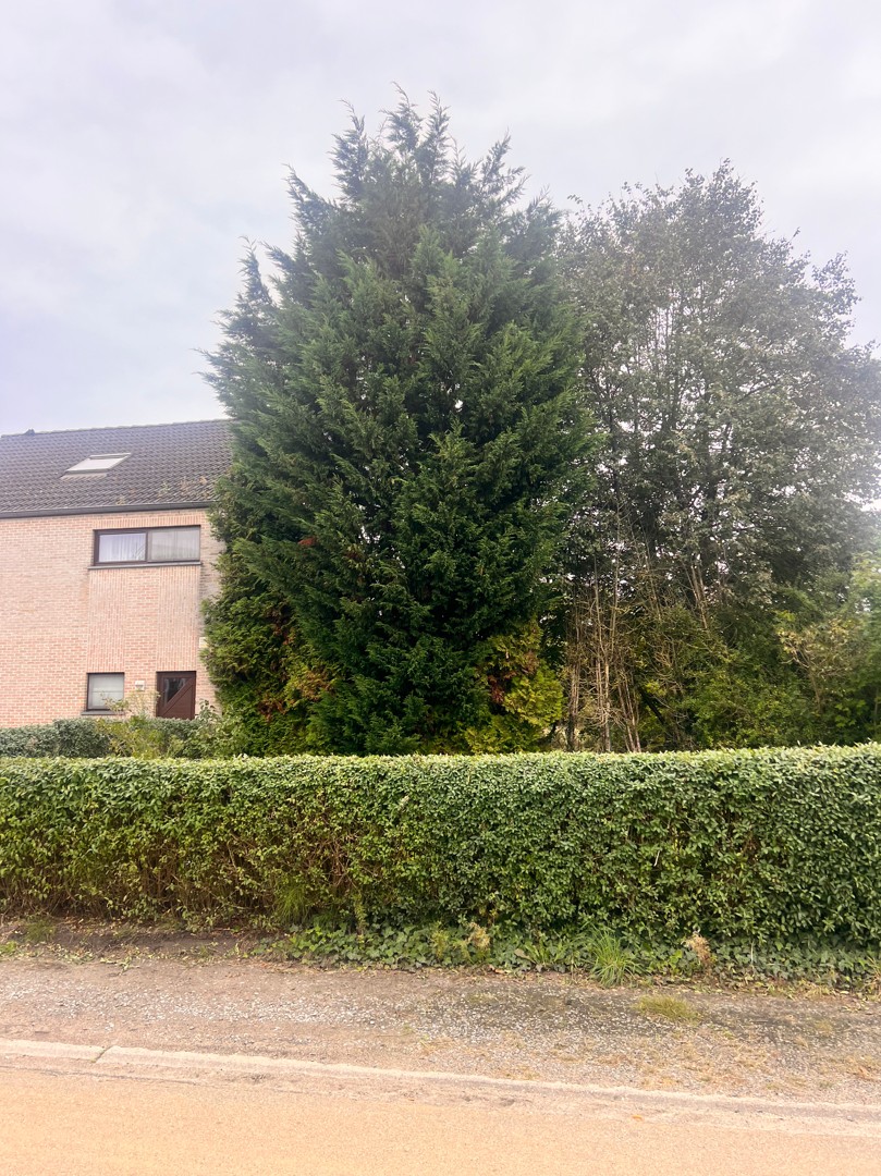 Land for sale in Hasselt - photo 5