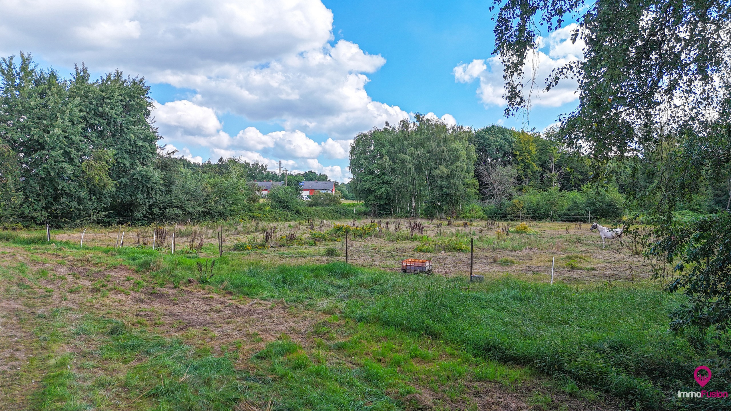 Uitgestrekt perceel van 3 hectare landbouw- of paardenweide! - foto 5