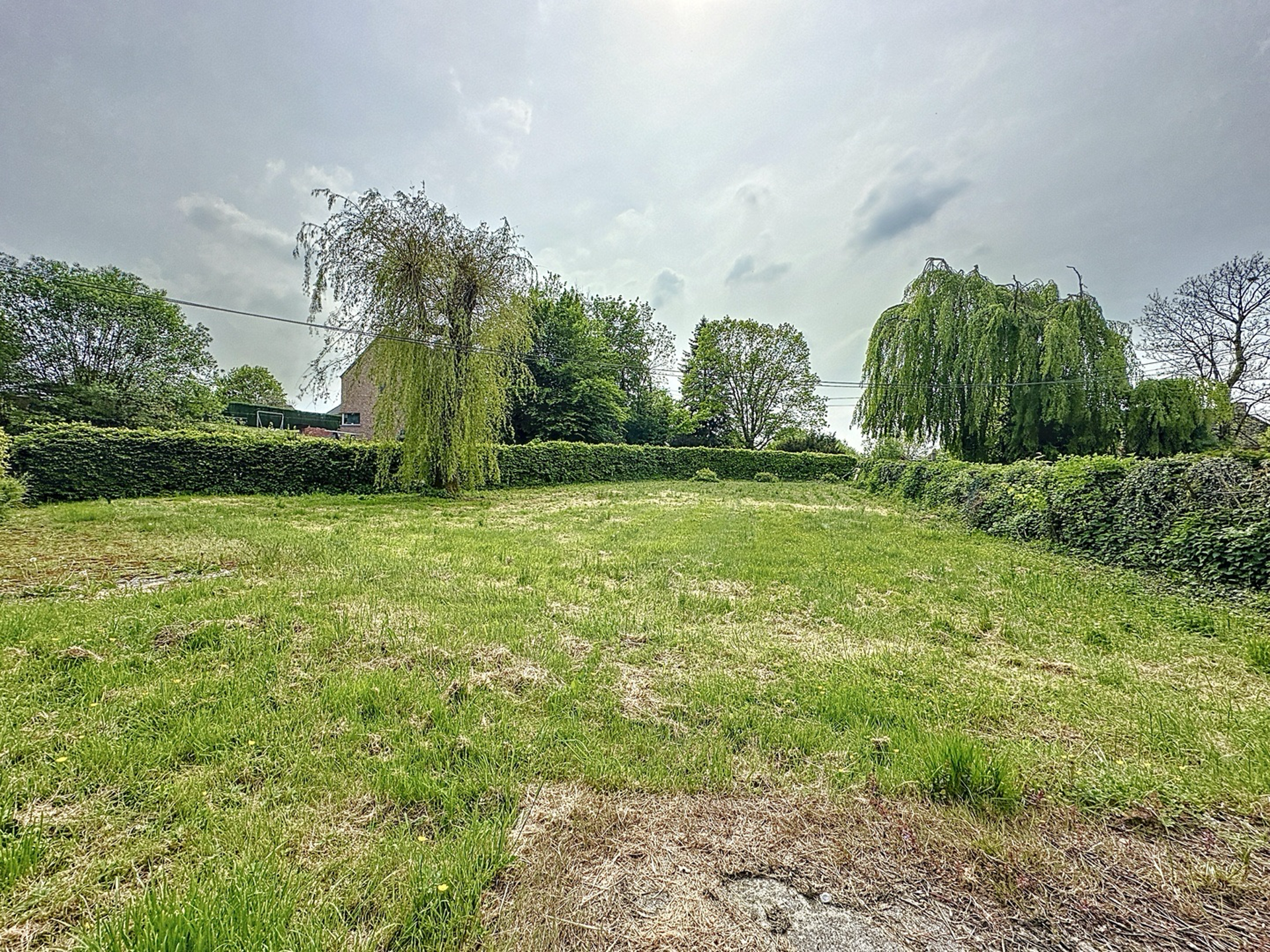 Grond te koop in Ouffet - foto 3