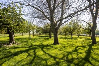 Vous rêvez de calme, d'espace et de luxe ? Alors cette belle villa avec son propre verger et une vue imprenable sur la vallée de la Dender est exactement ce que vous cherchez. Une offre rare dans un cadre rural idyllique et un emplacement de choix. Elle est située à une courte distance du centre de Ninove, avec un accès facile et une situation centrale entre Gand et Bruxelles.<br /><br />Cette propriété de caractère allie une architecture élégante à un confort de vie exceptionnel. Vous êtes accueilli dans un hall d'entrée spacieux menant à un espace de vie lumineux, une cuisine entièrement équipée, quatre chambres spacieuses et une salle de bains. Il y a également un double garage intérieur et une cave. Le grenier, accessible par un escalier fixe, offre encore d'innombrables possibilités d'extension.<br />À l'extérieur, c'est le plaisir à l'état pur : la grande terrasse ensoleillée donne sur un verger luxuriant et sur la vaste vallée de la Dendre. C'est ici que vous vivrez l'expérience quotidienne des vacances, en toute intimité et en silence.<br />Le verger n'est pas inclus dans le prix demandé, mais peut être acheté en même temps pour seulement 25 000 € - une occasion unique d'ajouter ce magnifique morceau de nature à votre propriété.<br /><br />Intéressé par une visite ? Contactez Emilie au 0472/59 05 39 ou emilie@cornelis-partners.be
