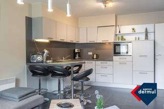 Ontdek dit smaakvol ingerichte appartement, gelegen in een rustige straat op loopafstand van de zee en het station van Oostende. Dit ideale...