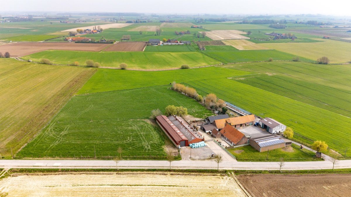 Mooi gelegen hoeve met loodsen op 2,5 ha te koop te Watou - foto 2