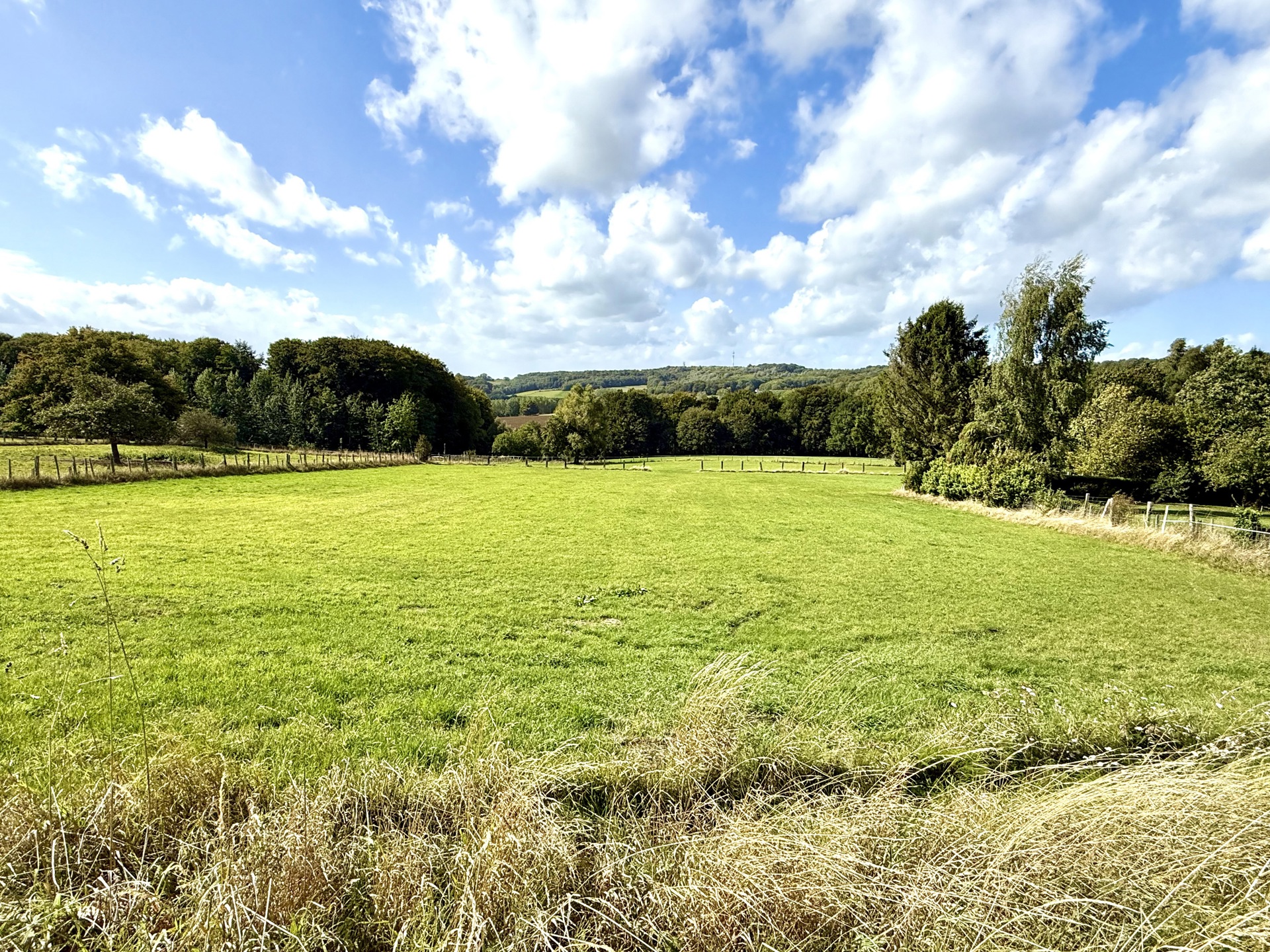 Bouwgrond van 5929m2 met een UNIEK ZICHT! - foto 3