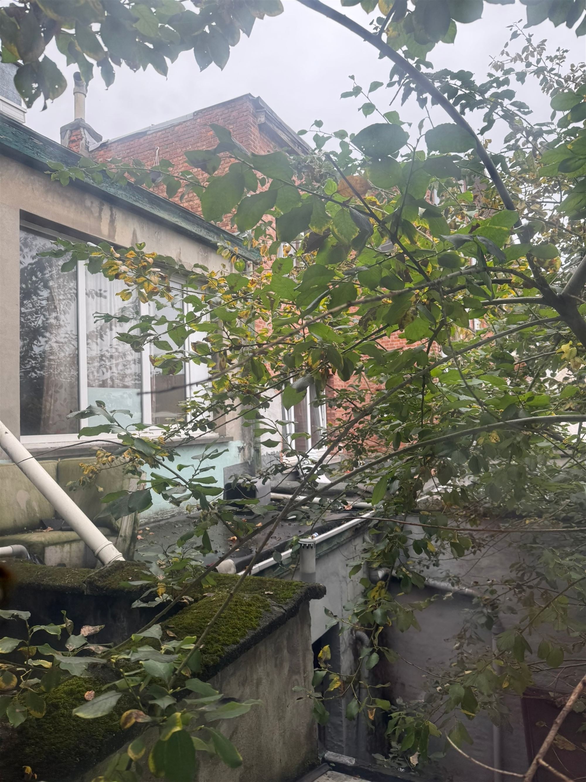 Magazijn of atelier of bureaurenovatieproject - foto 4