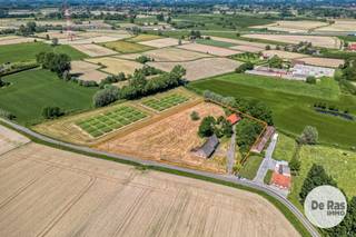 <strong>DEINZE - Karaktervolle hoeve op een unieke locatie van 8.430 m²</strong><br />EERSTE BEZOEKDAG ZONDAG 13/09 VANAF 9U (enkel op afspraak!)<br /><br />Te midden van de uitgestrekte velden bevindt zich deze uitzonderlijk gelegen, karaktervolle hoeve op een royaal perceel van liefst 8.430 m². Een zeldzame eigendom waar rust, ruimte en natuur centraal staan, gecombineerd met een vlotte bereikbaarheid.<br /><br />De voormalige boerderij dateert van circa 1850 en straalt authenticiteit en karakter uit. Dankzij de gunstige oriëntatie geniet de woning van een aangename natuurlijke lichtinval en biedt het domein volop mogelijkheden om optimaal van de tuin en de omliggende natuur te genieten. Zowel aan de voor- als achterzijde bevinden zich ruime, groene buitenzones en er is bovendien voldoende parkeergelegenheid aanwezig.<br /><br />De eigendom bestaat uit twee volwaardige gebouwen.<br />De oorspronkelijke hoevewoning beschikt over een opp. van circa 230 m² en telt momenteel 4 slaapkamers en een badkamerruimte. De royale volumes en bestaande indeling bieden tal van mogelijkheden om de woning verder te renoveren en volledig naar eigen smaak in te richten.<br />Daarnaast bevindt zich op het perceel een kwalitatieve stal van circa 225 m², gebouwd in 2012 en momenteel ingericht als paardenaccommodatie. Samen bieden beide gebouwen maar liefst 455 m² bruikbare vloeroppervlakte.<br /><br />De combinatie van de authentieke hoeve, de ruime oppervlaktes, het grote perceel en het aanwezige bijgebouw vormt een bijzonder interessant uitgangspunt voor wie op zoek is naar een eigendom met karakter én potentieel.<br />Er bestaat tevens de mogelijkheid om extra weides aan te kopen op wandelafstand van de eigendom.<br /><br />Een absolute meerwaarde is de uitzonderlijke ligging. De hoeve bevindt zich op wandelafstand van het Afleidingskanaal van de Leie en wordt volledig omgeven door open velden. Hier geniet u van een bijzonder gevoel van vrijheid, rust en privacy, zonder volledig afgelegen te wonen.<br />Een unieke opportuniteit voor wie droomt van een authentieke hoeve op een bijzondere locatie, met veel grond, ruime gebouwen en tal van mogelijkheden.<br />Interesse? Neem gerust contact op via 053/60.65.60 voor meer informatie of plan uw bezoek. Wij leiden u graag persoonlijk rond.<br /><br />De vermelde prijs is een richtprijs. Na ontvangst van de biedingen zal de verkoper beslissen of hij/zij de eigendom verkoopt aan het beste bod. De richtprijs is aldus niet bindend voor de verkoper. Voor meer info kunt u ons contacteren of het reglement raadplegen op onze website.